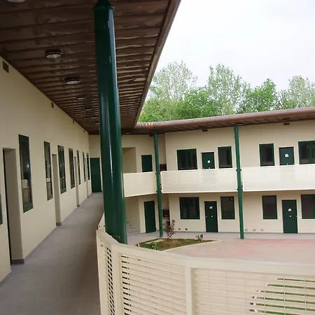 Ghironda ゾーラ・プレドーザ